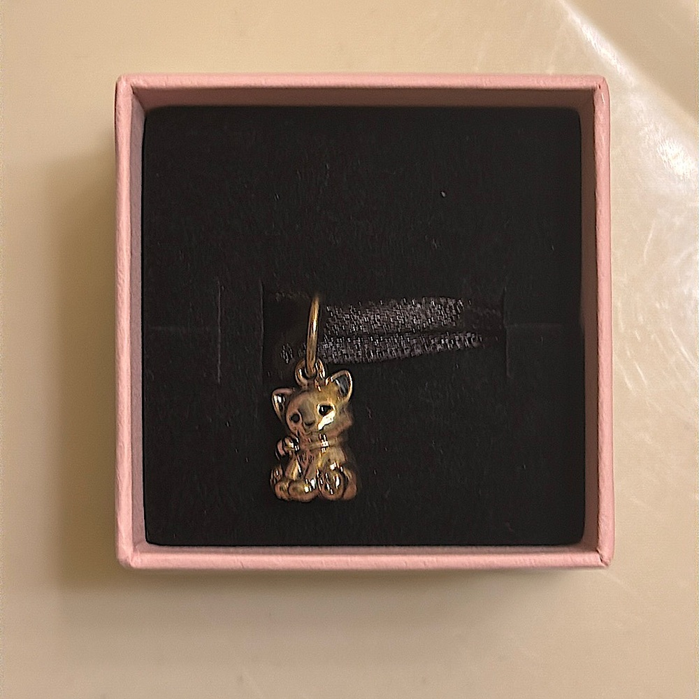 Adorable Pandora charm 🐱